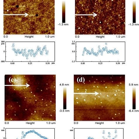 Afbeeldingsresultaten voor Atomic Force Microscope Side View