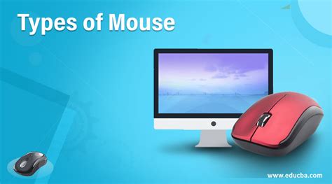 Image result for Computer Mouse Types