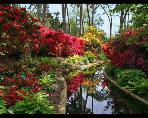 Windows Spring Screensaver に対する画像結果