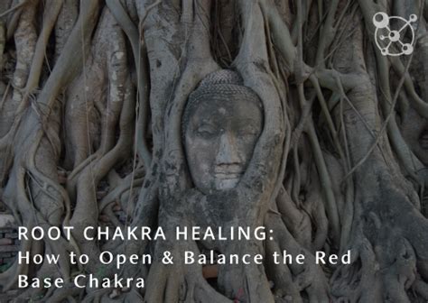 Image result for Root Base Chakra