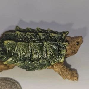 Realistic Chewtle Snapping Turtle に対する画像結果