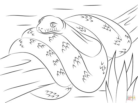 Toradh íomhá ar Python Colouring A3