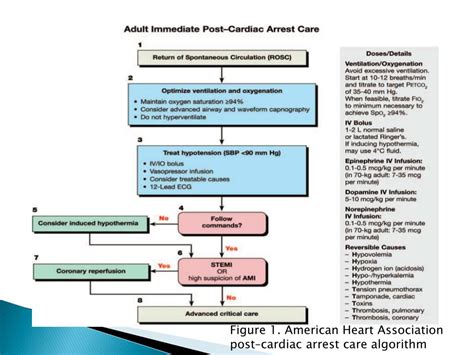 Afbeeldingsresultaten voor Post Cardiac Arrest Algorithm