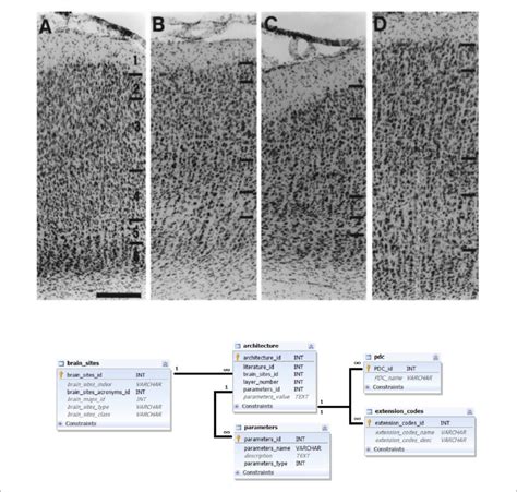 Image result for Database Architecture Graphical Representation