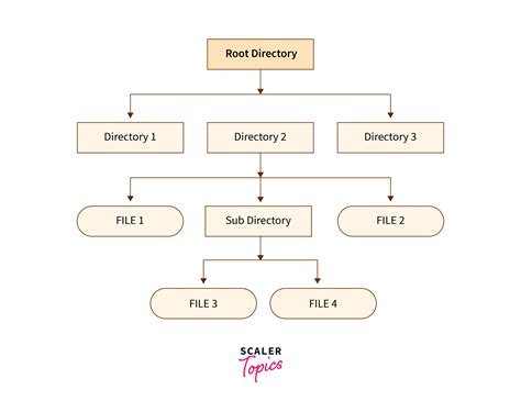 Image result for Eample of File Manager in OS