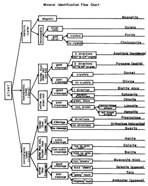 Image result for Classification Flowchart USGC