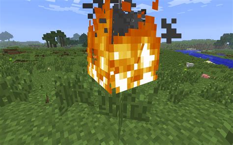Image result for Minecraft Fire Block