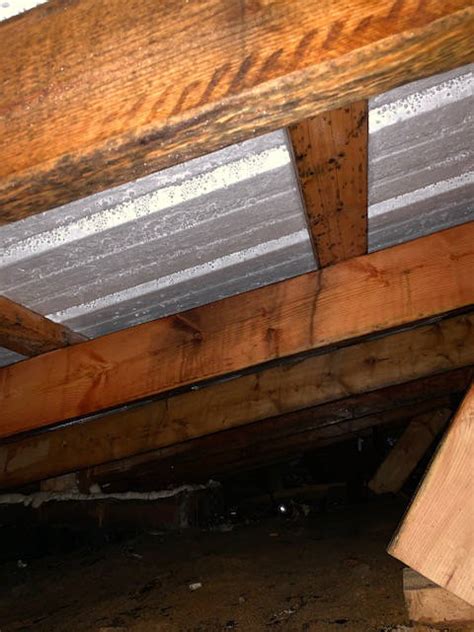 Résultat d’images pour Condensation in Attic