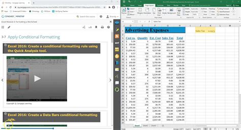 Excel Module 3 Sam Project B に対する画像結果