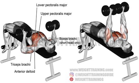 Image result for How to Dumbbell Press