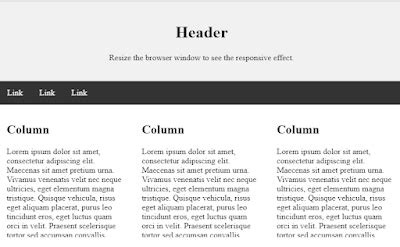Image result for Modern CSS Website Layout