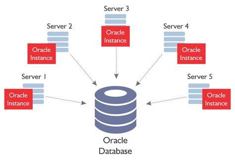 Image result for Oracle Database Diagram