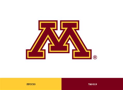 Toradh íomhá ar Express.js Logo Color Code