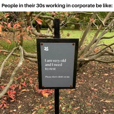 Image result for Help Me Wokr Meme