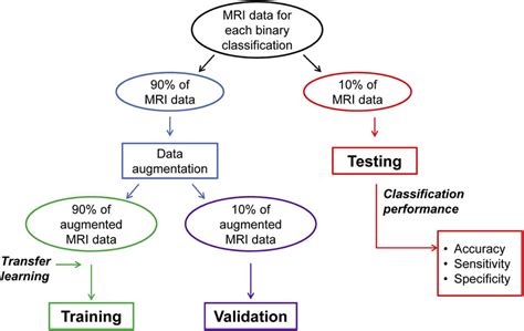 Image result for Homeless MRI Flowchart