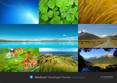 Image result for Windows Developer Preview