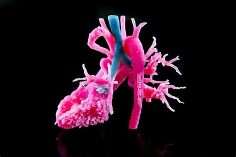Image result for 3D Cardiac Output Surface