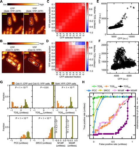 Image result for TOS Real-Time Data