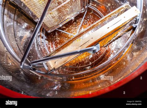 Image result for Extracting Honey Process