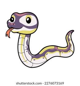 Cartoon Banana Python に対する画像結果