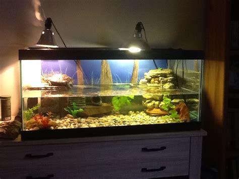 Toradh íomhá ar Large Turtle Tank Setup
