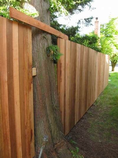 How To Build A Fence Around A Tree に対する画像結果