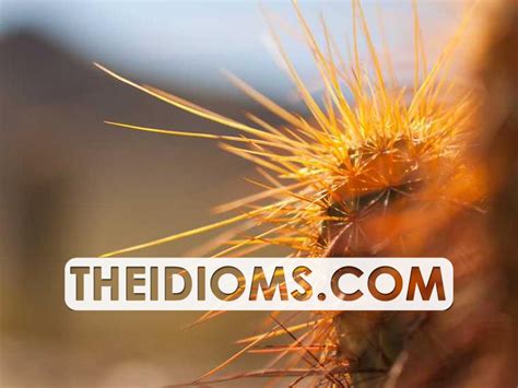 Image result for Run Out Example Sentence