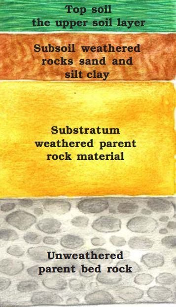 Image result for Major Types of Soil Map Class 10 NCERT