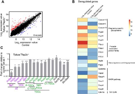 Afbeeldingsresultaten voor Microarray Scale