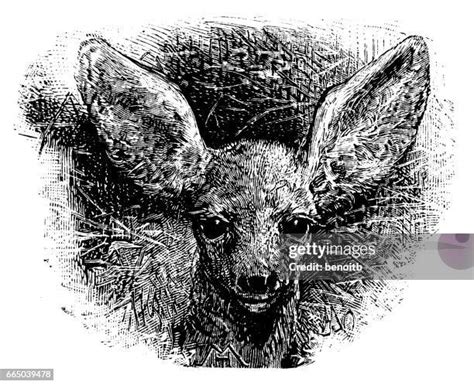 Image result for Fawn Drawing Creepy
