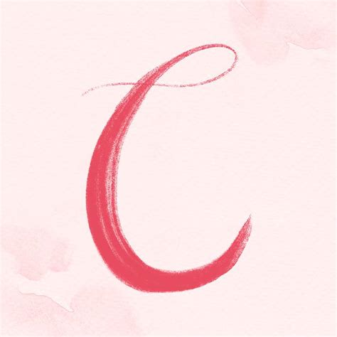 Image result for Calligraphy C Math