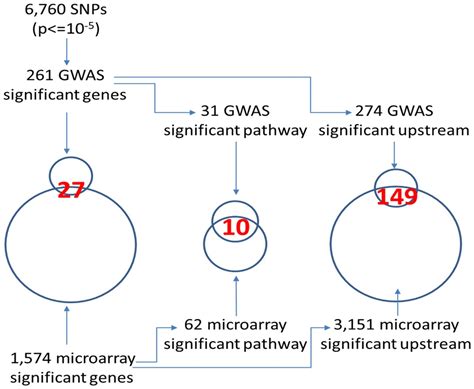 Toradh íomhá ar mRNA Microarray Analysis