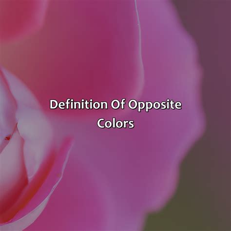 Image result for Negatve Color of Pink