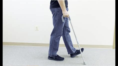 Image result for Cane Walking Techniques