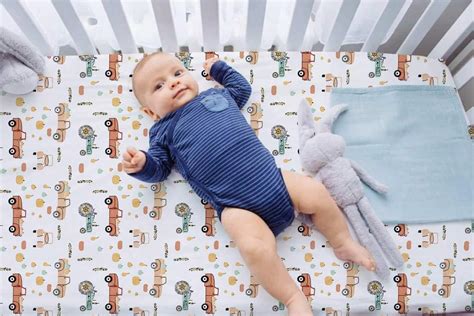 Image result for Boy Crib Sheets