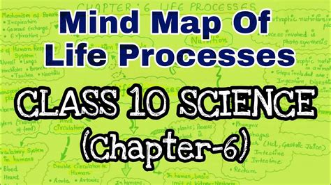 Afbeeldingsresultaten voor Life Process Concept Map Class 10