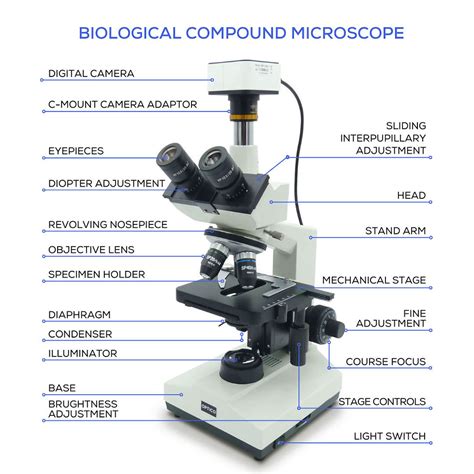 Image result for Features of a Compound Microscope