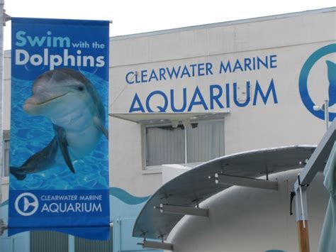 Clearwater Marine Aquarium