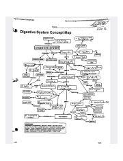 Toradh íomhá ar Chemical Digestive System Concept Map Answer Key