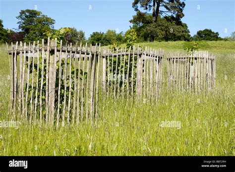 How To Build A Fence Around A Tree に対する画像結果