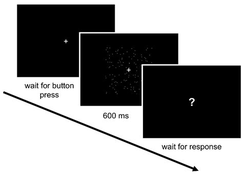 Afbeeldingsresultaten voor Dim Lighting Computer Vision