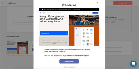Image result for URL Capture