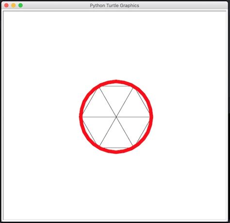 Image result for Turtle グラフィックス