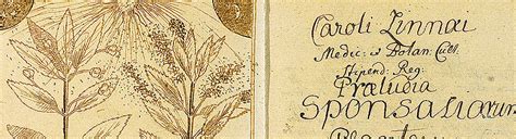 Linnaeus Chart に対する画像結果