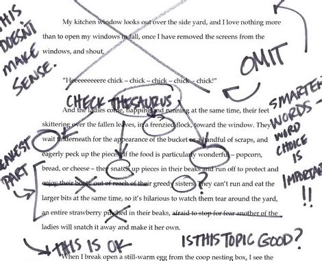 Good Common App Essay Examples に対する画像結果