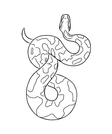 Image result for Python White Outline Transparent