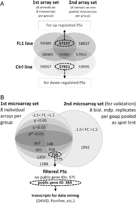 Noise Filtering of Microarray Data に対する画像結果