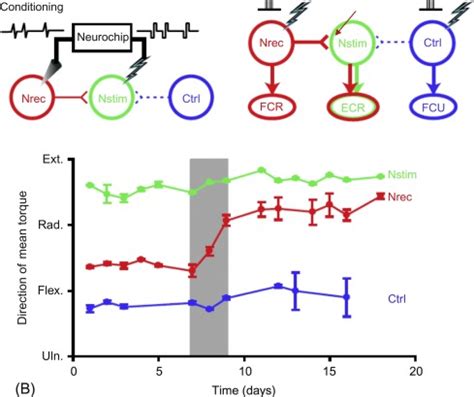 Open Loop Circuit Example に対する画像結果