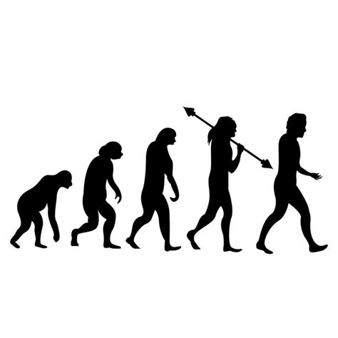 Afbeeldingsresultaten voor Evolution Icon Vector Transparent