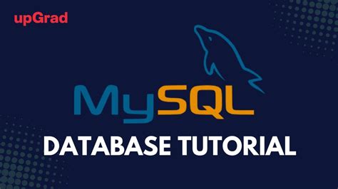 Image result for Database Programming Using MySQL